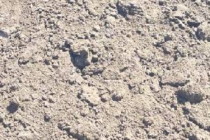 Top soil at Poupart Excavation